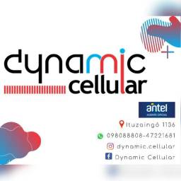 Dynamic Cellular